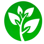 greeen valey final